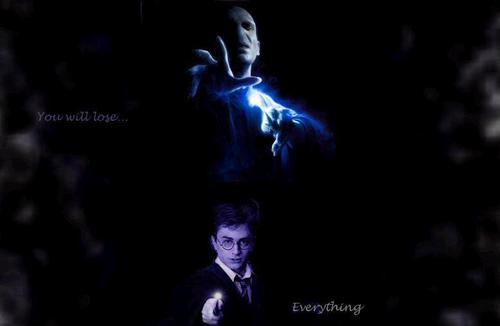 Harry-Potter-and-Voldemort-harry-potter-and-lord-voldemort-7767878-500-326
